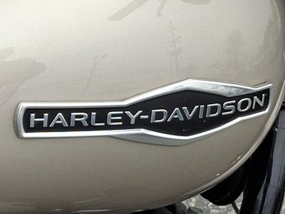 2018 Harley-Davidson FLSB SOFTAIL SPORT GLIDE