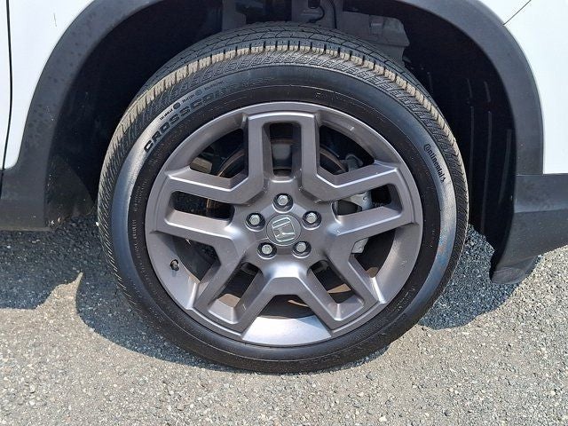 Photo 11
