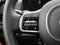 2025 Kia Carnival SX